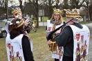 Faschingszug Bad Aibling_25